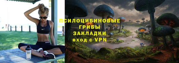герыч Арсеньев