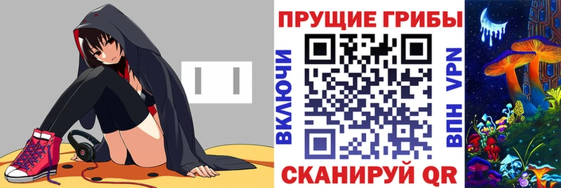 цены   Кологрив  Галлюциногенные грибы Cubensis 
