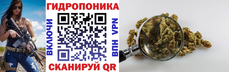 МЕГА онион  Кологрив  Шишки марихуана VHQ 